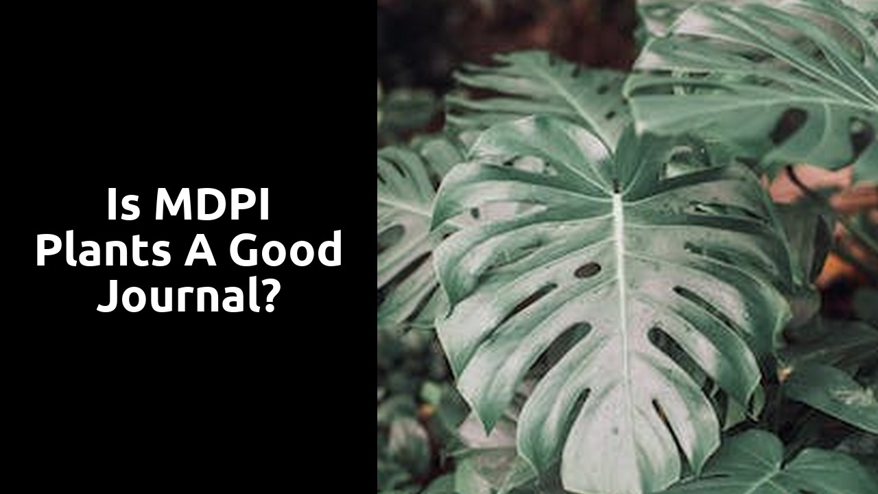 Is MDPI Plants a good journal?