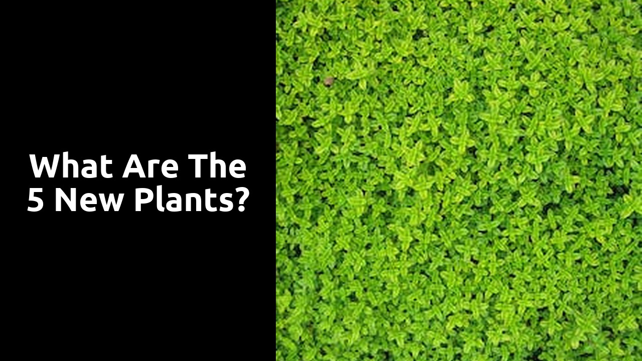 What are the 5 new plants?