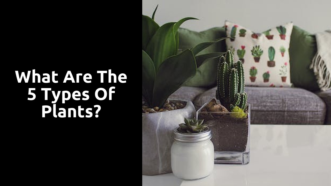 What are the 5 types of plants?